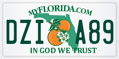 FL license plate DZIA89