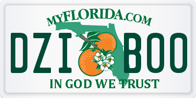 FL license plate DZIB00