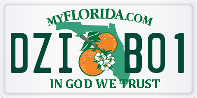 FL license plate DZIB01