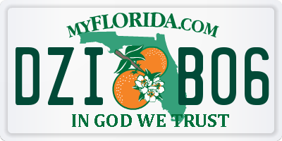 FL license plate DZIB06