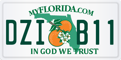 FL license plate DZIB11