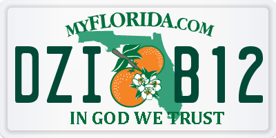 FL license plate DZIB12