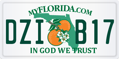 FL license plate DZIB17