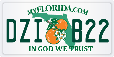 FL license plate DZIB22