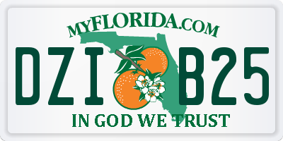 FL license plate DZIB25