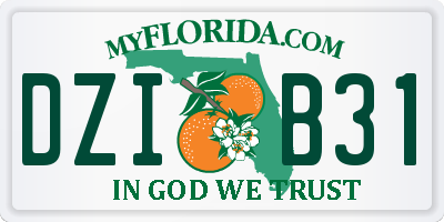 FL license plate DZIB31