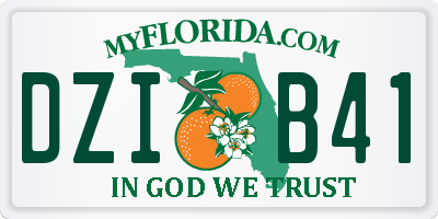 FL license plate DZIB41