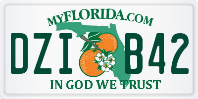 FL license plate DZIB42