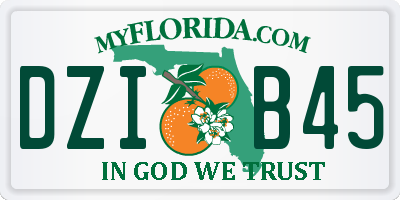 FL license plate DZIB45