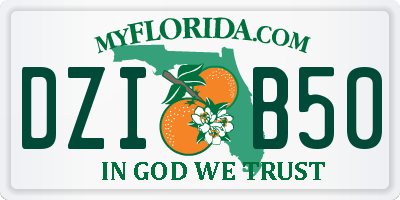 FL license plate DZIB50