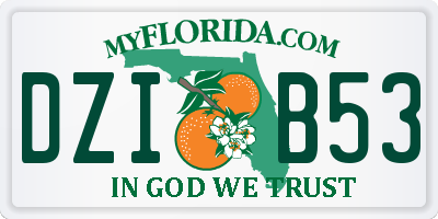 FL license plate DZIB53