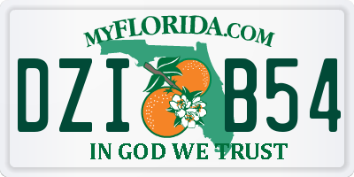 FL license plate DZIB54