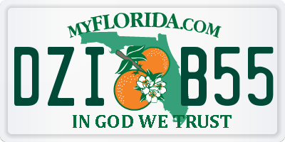 FL license plate DZIB55