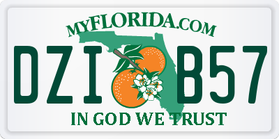FL license plate DZIB57