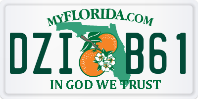 FL license plate DZIB61