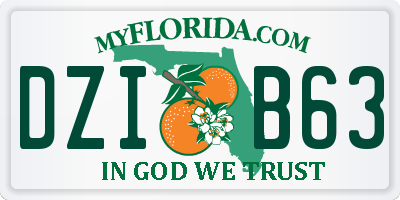 FL license plate DZIB63