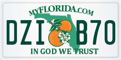 FL license plate DZIB70