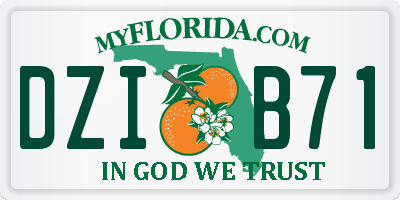 FL license plate DZIB71