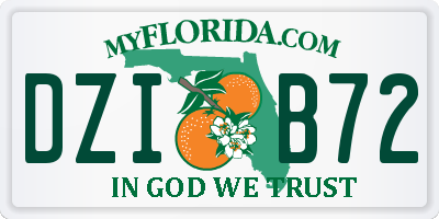 FL license plate DZIB72