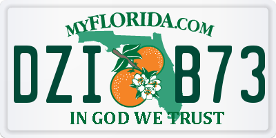 FL license plate DZIB73