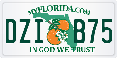 FL license plate DZIB75