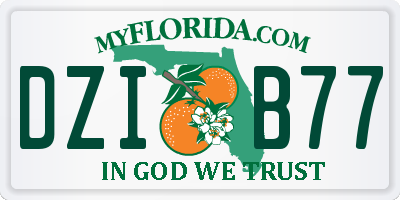 FL license plate DZIB77