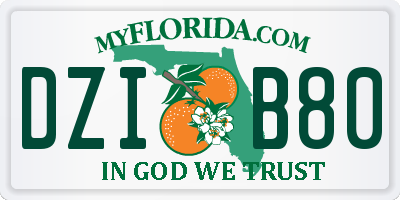 FL license plate DZIB80