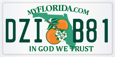 FL license plate DZIB81