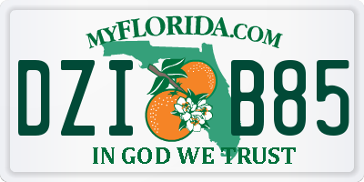 FL license plate DZIB85
