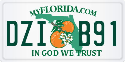 FL license plate DZIB91