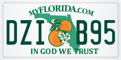 FL license plate DZIB95