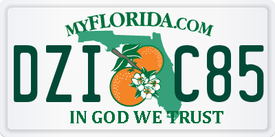 FL license plate DZIC85