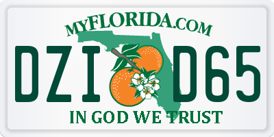 FL license plate DZID65