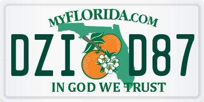 FL license plate DZID87