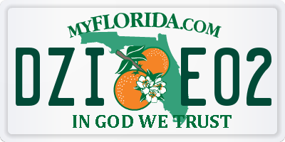 FL license plate DZIE02