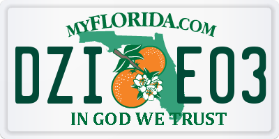 FL license plate DZIE03