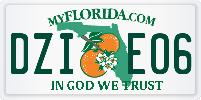 FL license plate DZIE06