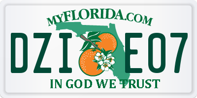 FL license plate DZIE07