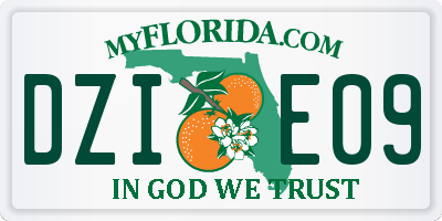 FL license plate DZIE09