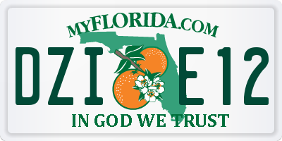 FL license plate DZIE12