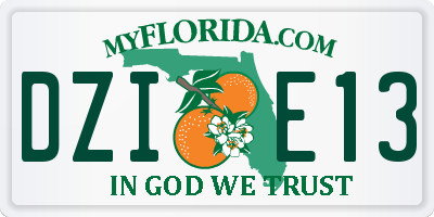 FL license plate DZIE13