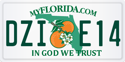 FL license plate DZIE14