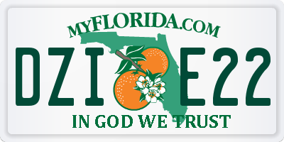 FL license plate DZIE22