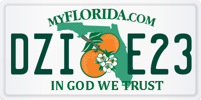 FL license plate DZIE23