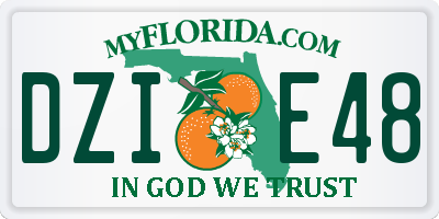 FL license plate DZIE48