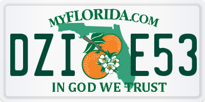FL license plate DZIE53