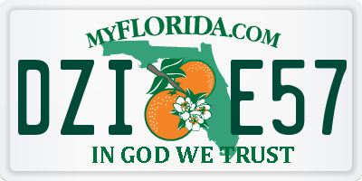 FL license plate DZIE57