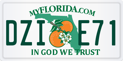 FL license plate DZIE71