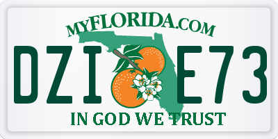 FL license plate DZIE73