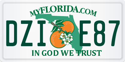 FL license plate DZIE87